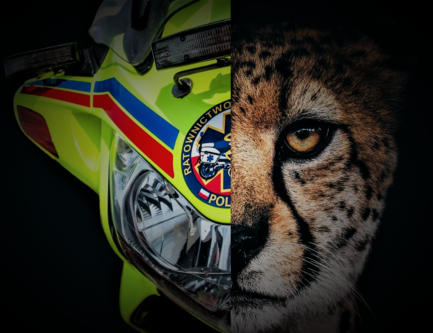 Motoambulans Ratownictwa Motocyklowego Polska zestawiony z wizerunkiem geparda